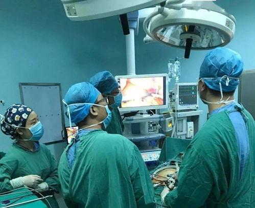 动手术视频,动手术全过程深度解析