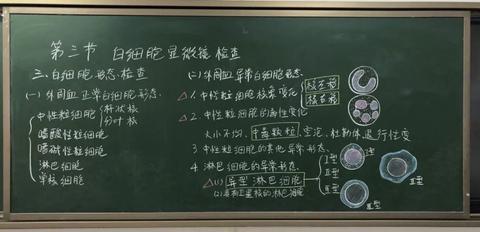 应聘高校教师试讲视频