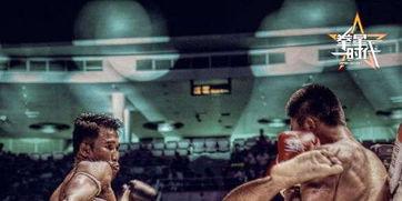 星当vs播求视频,激战正酣,谁将问鼎荣耀巅峰?