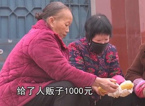 老妇视频,温情瞬间触动人心