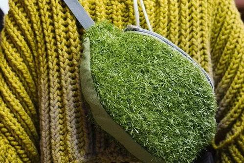 青青青草视频,探寻自然之美,感受生命活力