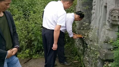 王炳程消砂视频,揭秘传统风水智慧在现代的传承与应用