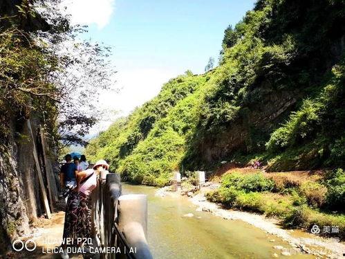 大回龙视频,穿越时空的奇幻之旅