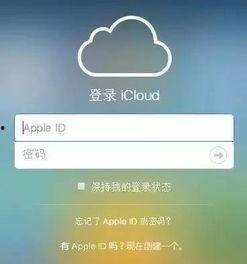 你手机别丢了视频